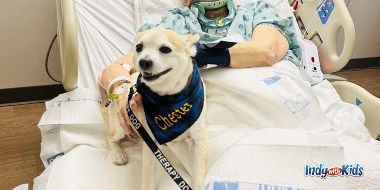 "Paws To Read" With Adorable Therapy Dogs At Indy Libraries & Bookstores