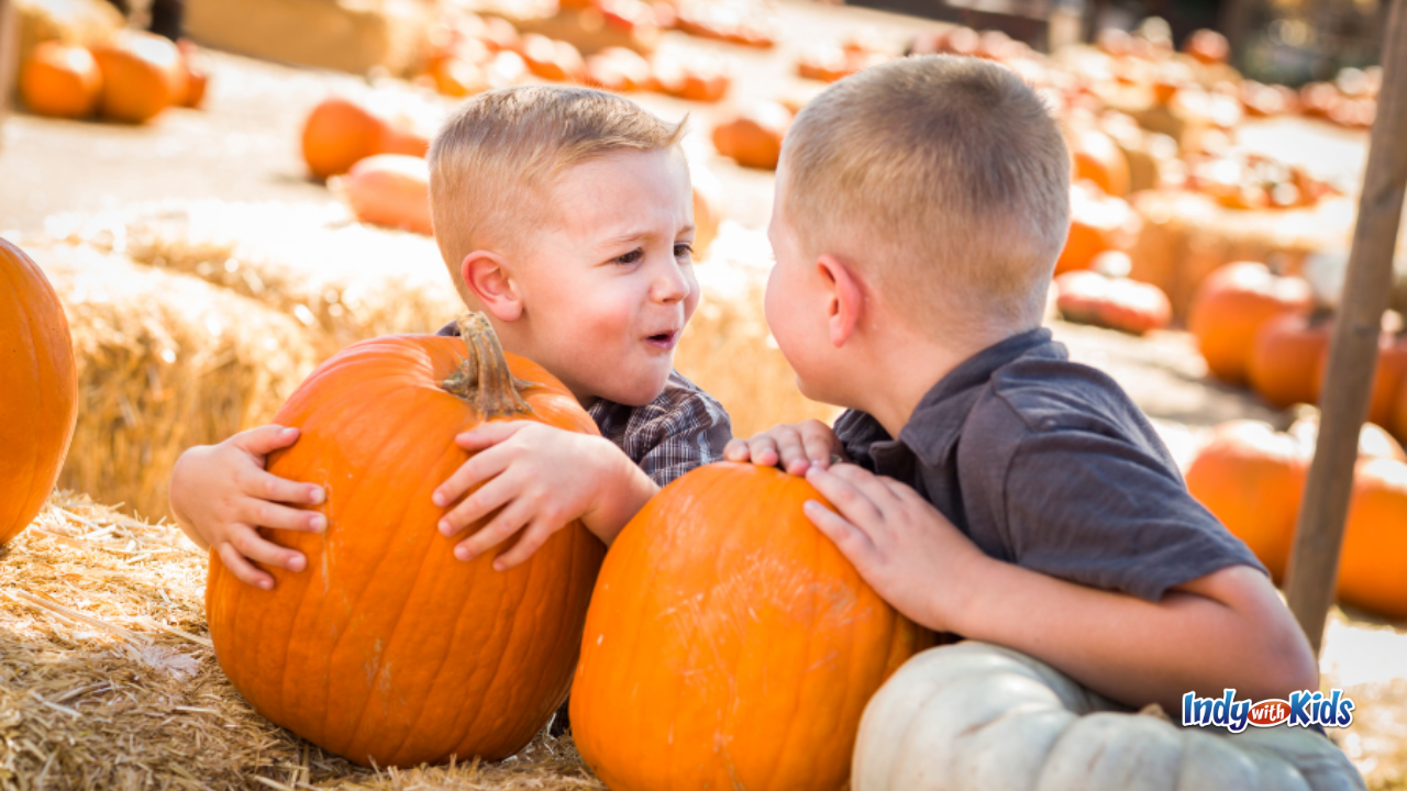 Fair Oaks Farms Pumpkin