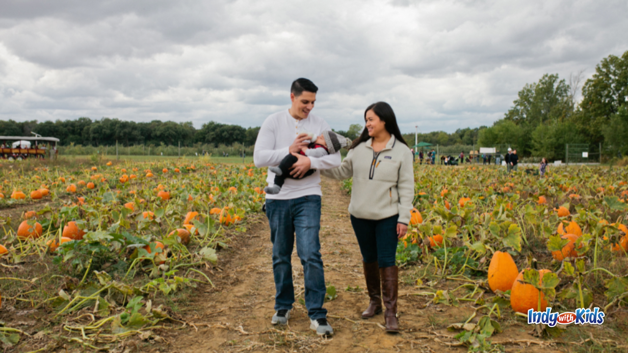 Fair Oaks Farms Pumpkins