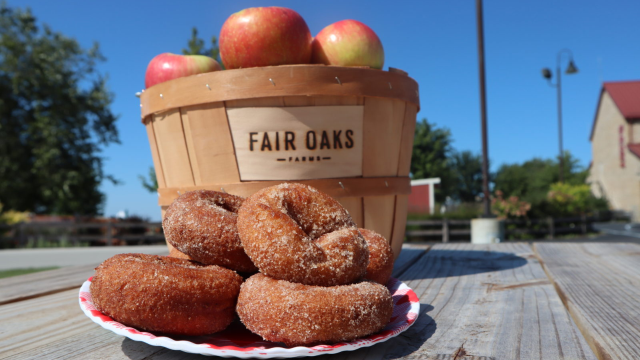 Fair Oaks Farms apples and donuts