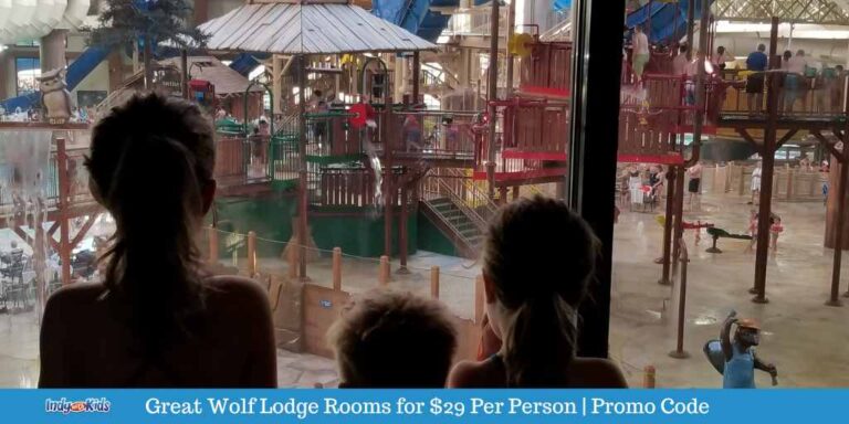 Rooms For 29 Per Person At Great Wolf Lodge One Day Only   Great Wolf Lodge Promo Code 768x384 