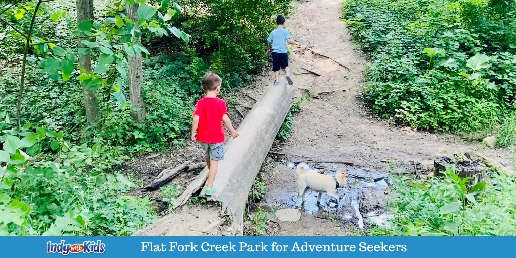 Flat Fork Creek Park for Adventure Seekers | Spectacular Tree Houses, Mountain Biking, Fishing, Sledding Hill