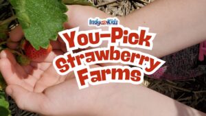 Child picking strawberries at a you-pick strawberry farm with text overlay "You-Pick Strawberry Farms"