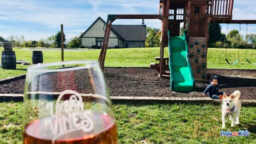 21 Best Westfield Indiana Restaurants | Family-friendly: A glass of wine with the Urban Vines logo on it is in the foreground. Behind there is a baby and a dog in front of a playground in a grassy field.