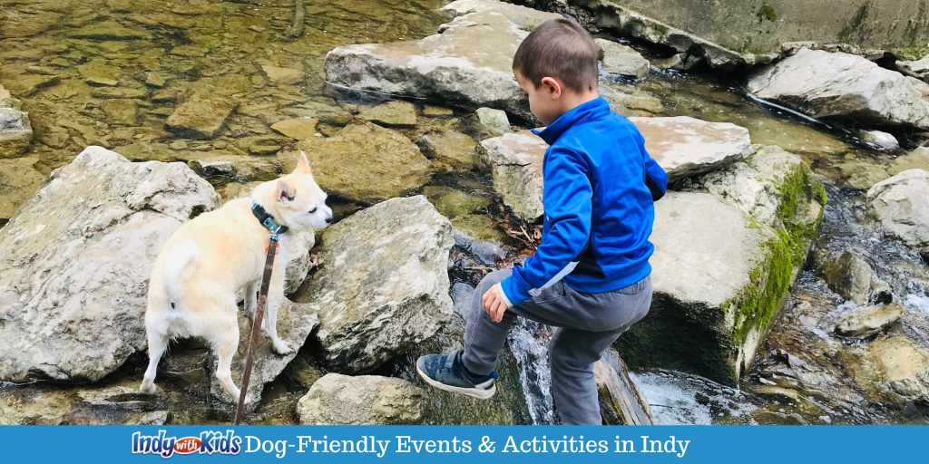 Dog Friendly Events & activities