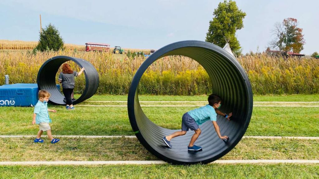 Dull’s Tree Farm and Pumpkin Harvest: kids race in a large black hamster wheels with a farm and tractor in the distance behind them.