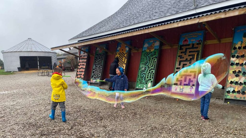 Dull’s Tree Farm and Pumpkin Harvest: children play create and play with giant bubbles in front of life-sized mazes on the side of a barn