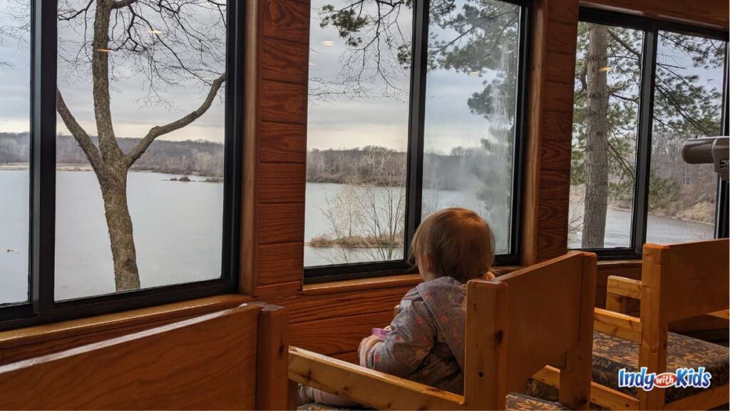 Petting Zoo Near Me | 18 Magical Animal Encounters: a child sits in a wooden chair overlooking eagle creek reservoir at the orinthology center