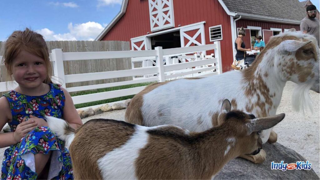 Petting Zoo Near Me | 18 Magical Animal Encounters: a little girl in a blue dress sits next to two goats at a farm with a red barn in the background