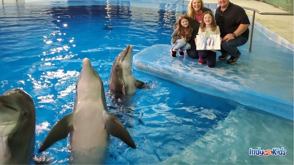 Petting Zoo Near Me | 18 Magical Animal Encounters: a family at the indianapolis zoo sits holding a painting they made with dolphins. three dolphins are in the foreground of the photo with their heads out of the water.