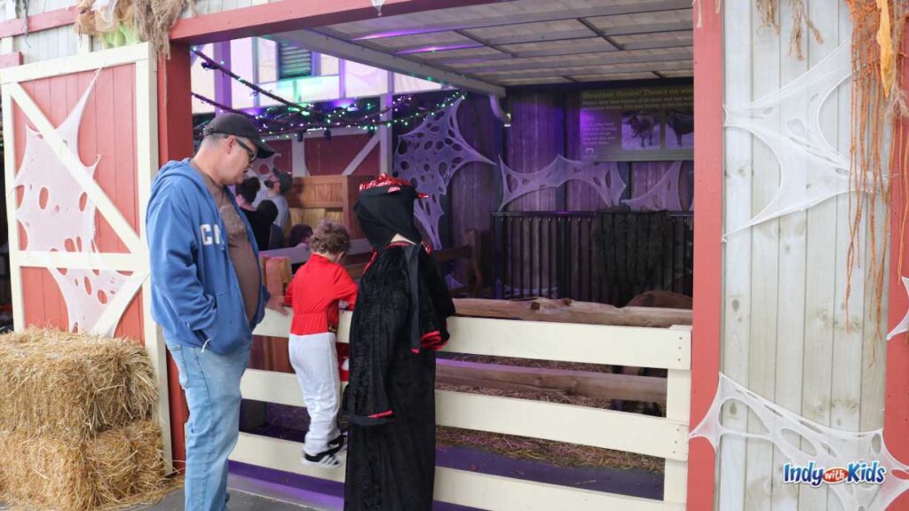 October Animal Encounters: a small child, a costumed older child, and an adult peer into a haunted barn at zoo boo