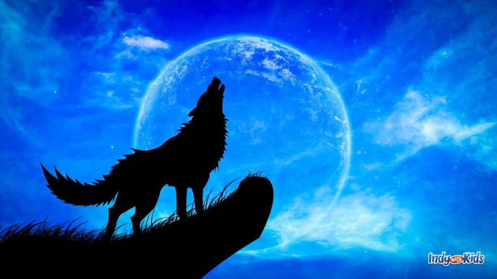 October Animal Encounters: a wolf howls into the sky with a moon lit blue background