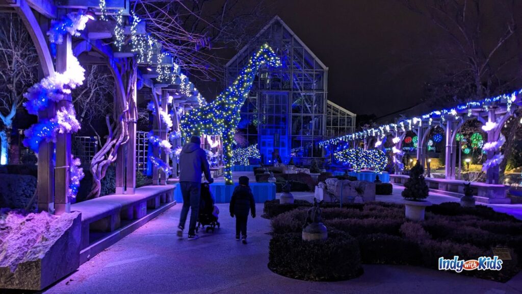 The Indianapolis Christmas at the Zoo event features thousands of twinkling lights in animal-themed designs.