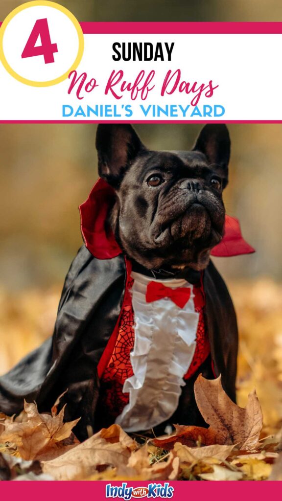 No Ruff “Dog” Days | Daniel’s Vineyard