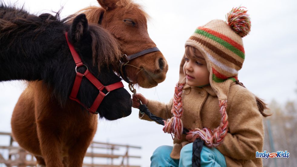 January Events for Kids with Special Needs: A young child in a winter coat and hat stoops to look at two miniature horses.