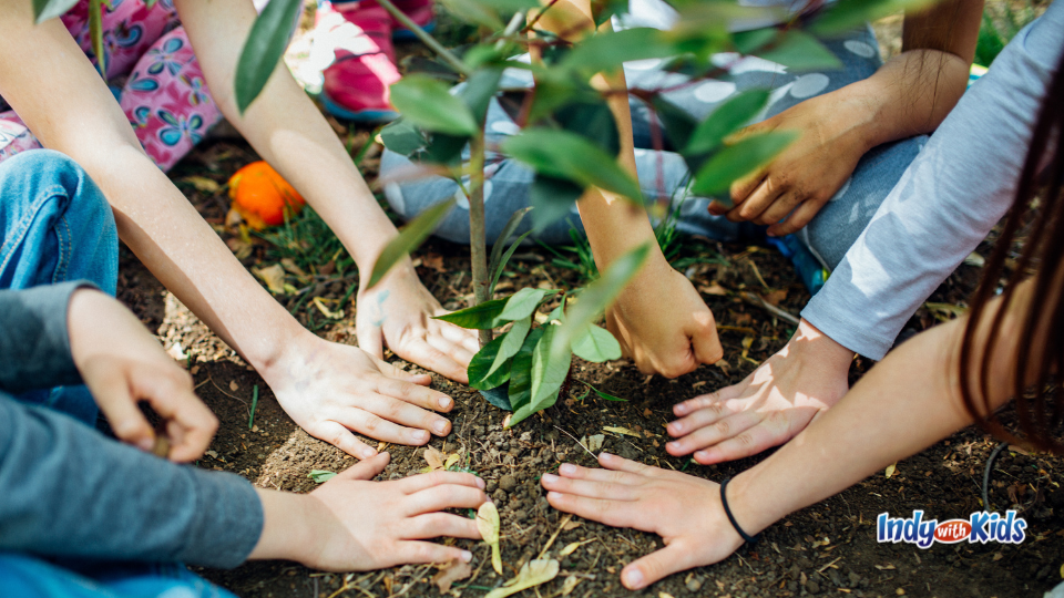 environmental activities