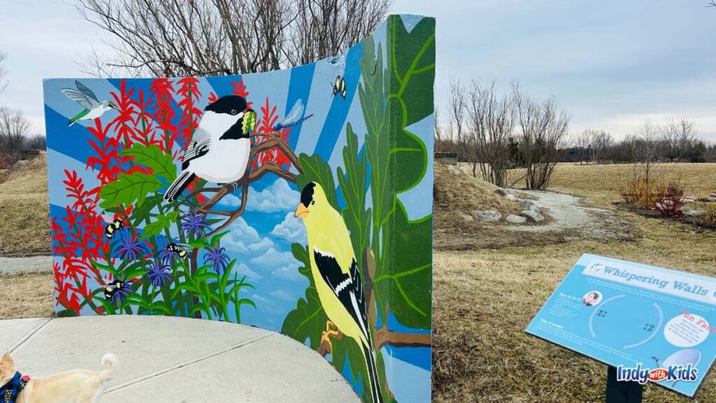 one side of a whispering wall with a colorful mural of birds on leaves at coxhall gardens