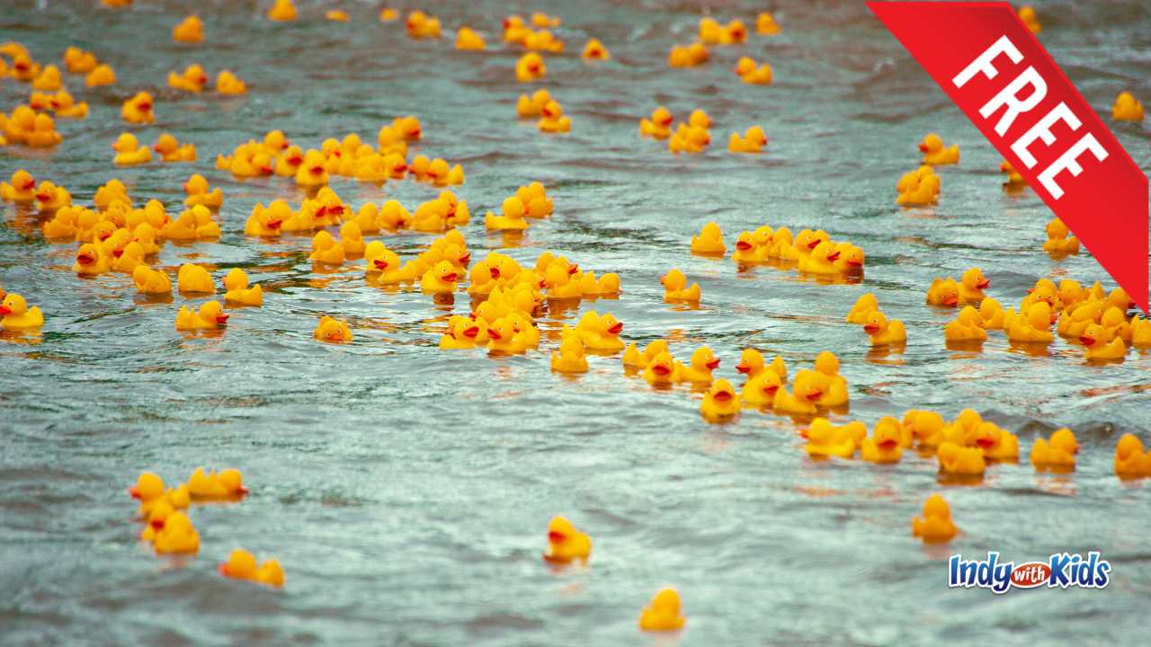 Duck Races
