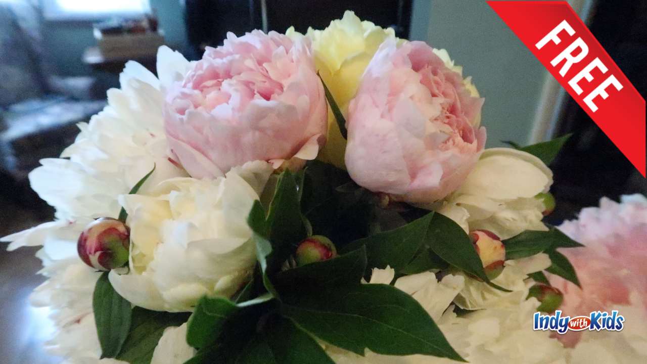 Indiana Peony Festival