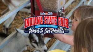 Graphic showing a child petting a goat with the words “Indiana State Fair Where To See Animals.”