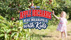 A young child stands in an apple orchard reaching toward apples on a tree, with a graphic that reads “Apple Orchards Near Indianapolis with Kids.”