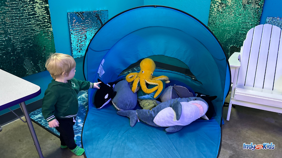 Carter's Play Place Westfield quiet rest area underwater themed