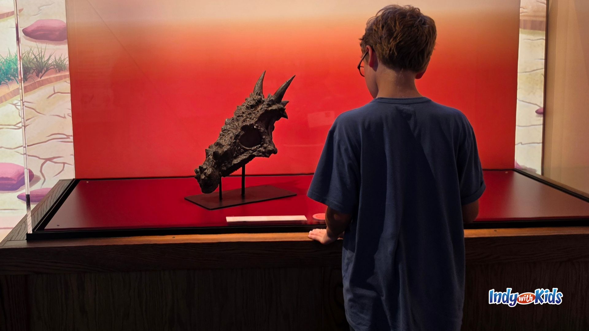 A child looks at a spiky dinosaur fossil skull displayed in a glass case with a red background inside the Pokémon Fossil Museum exhibit.